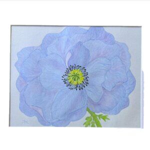 Painting Watercolor Flower Poppy Blue Purple11x14 and Mat 16x20 Original Art